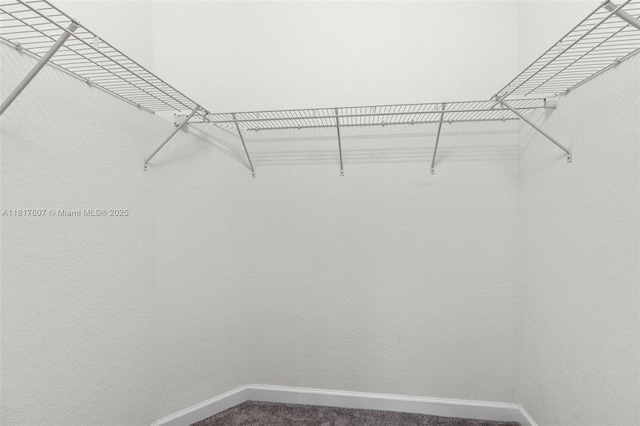 150 NE 23rd Ter, Homestead, FL 33033 - walk in closet with dark colored carpet
