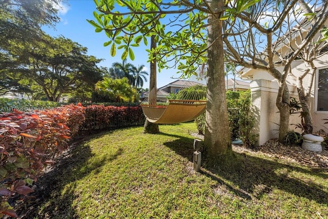 3212 NW 64th St, Boca Raton, FL 33496 - view of yard
