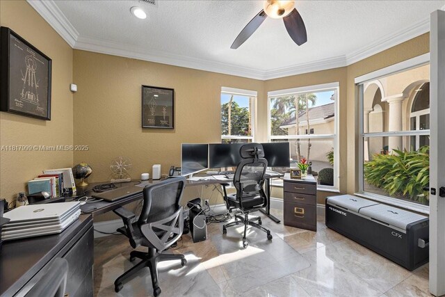 3212 NW 64th St, Boca Raton, FL 33496 - office with ceiling fan, crown molding, a textured ceiling, and light marble finish flooring