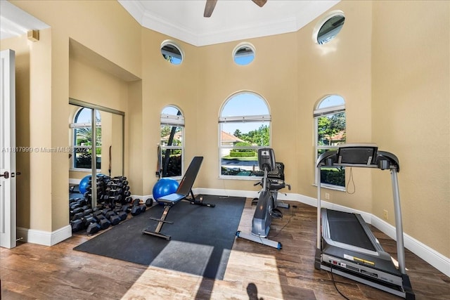 3212 NW 64th St, Boca Raton, FL 33496 - exercise area with crown molding, a ceiling fan, wood finished floors, baseboards, and a towering ceiling