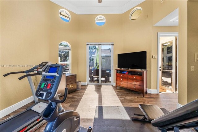 3212 NW 64th St, Boca Raton, FL 33496 - exercise room with crown molding, baseboards, a towering ceiling, and dark wood-style floors