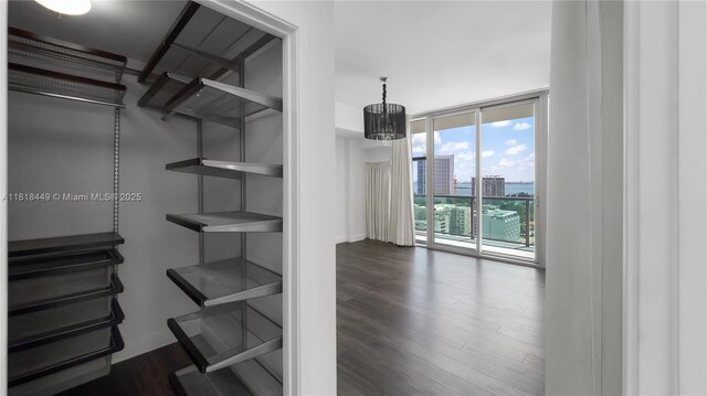3301 NE 1st Ave Unit H1612, Miami, FL 33137 - walk in closet featuring wood finished floors