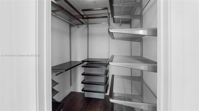 3301 NE 1st Ave Unit H1612, Miami, FL 33137 - spacious closet with dark wood-style flooring