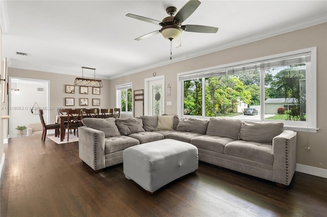 4240 SW 9th St, Plantation, FL 33317 - living area featuring dark wood-style flooring, a ceiling fan, and crown molding