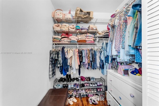 3075 SW 19th St, Miami, FL 33145 - spacious closet featuring wood finished floors