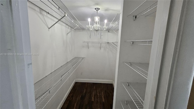9480 NW 10th St, Plantation, FL 33322 - spacious closet with a chandelier and wood finished floors