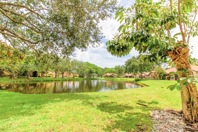 5289 Fairway Woods Dr Unit 2911, Delray Beach, FL 33484 - photo 49