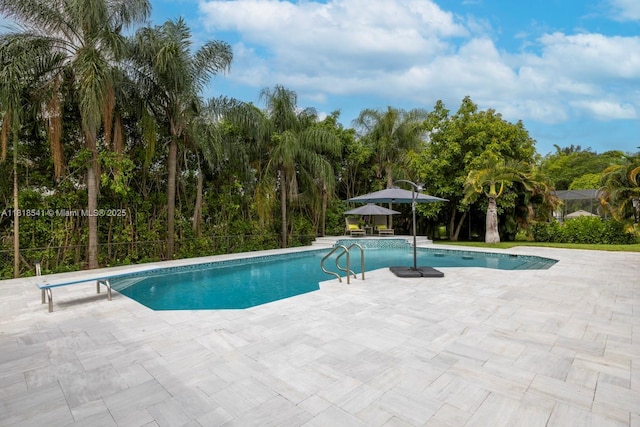 11400 NW 27th St, Plantation, FL 33323 - swimming pool featuring a patio, view of wooded area, and a diving board