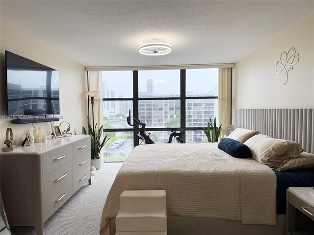 800 Parkview Dr Unit 820, Hallandale Beach, FL 33009 - bedroom with expansive windows and light colored carpet