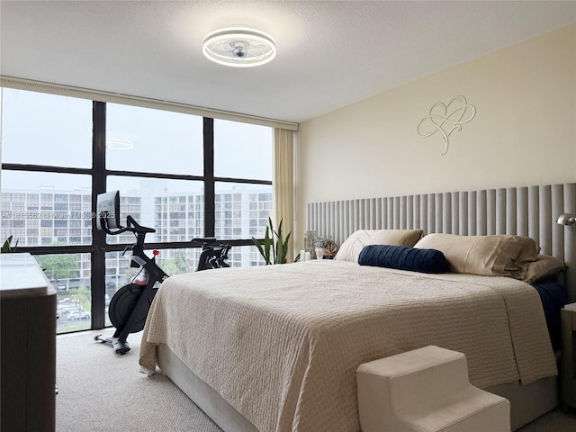 800 Parkview Dr Unit 820, Hallandale Beach, FL 33009 - bedroom featuring carpet floors and expansive windows