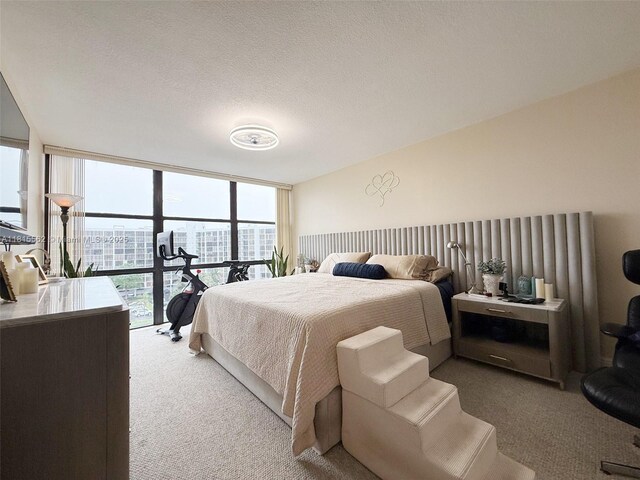 800 Parkview Dr Unit 820, Hallandale Beach, FL 33009 - bedroom with light carpet, expansive windows, and a textured ceiling