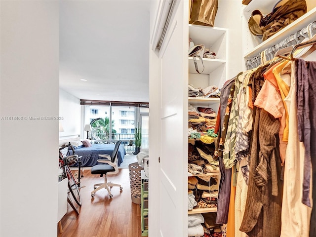 1408 Brickell Bay Dr Unit 411, Miami, FL 33131 - walk in closet featuring wood finished floors