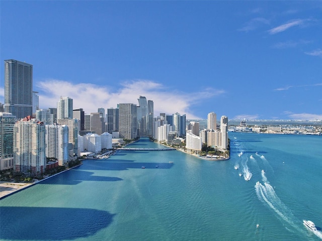 1408 Brickell Bay Dr Unit 411, Miami, FL 33131 - water view featuring skyline