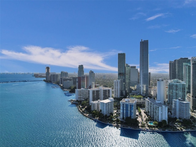 1408 Brickell Bay Dr Unit 411, Miami, FL 33131 - skyline view featuring a large body of water