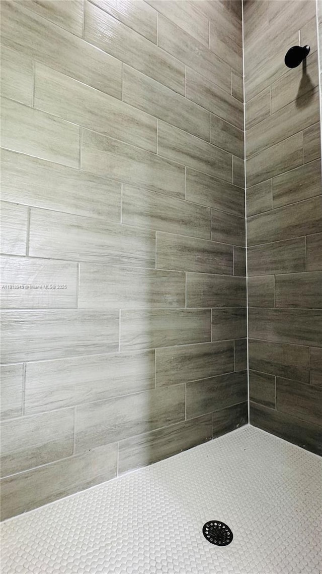 1115 Leader St, La Belle, FL 33935 - full bathroom featuring a tile shower