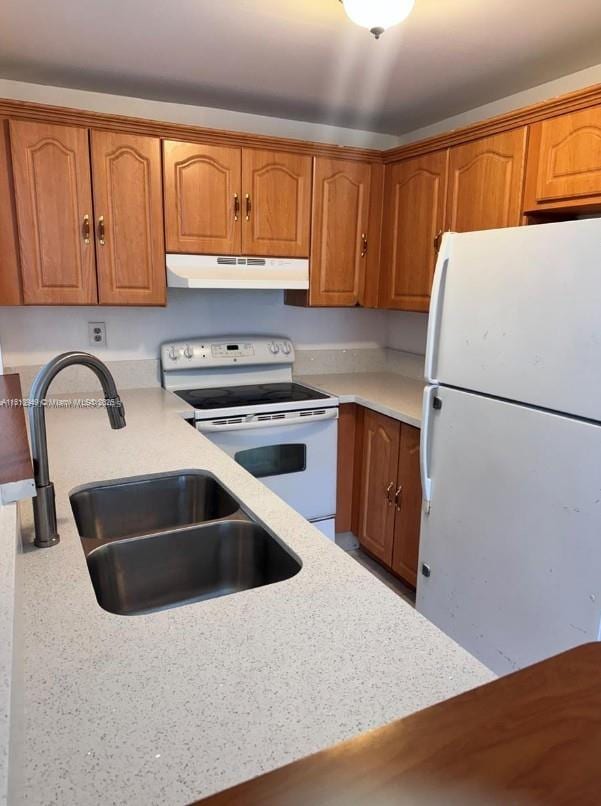 9678 Fontainebleau Blvd Unit 111, Miami, FL 33172 - kitchen with white appliances, under cabinet range hood, light countertops, and brown cabinetry