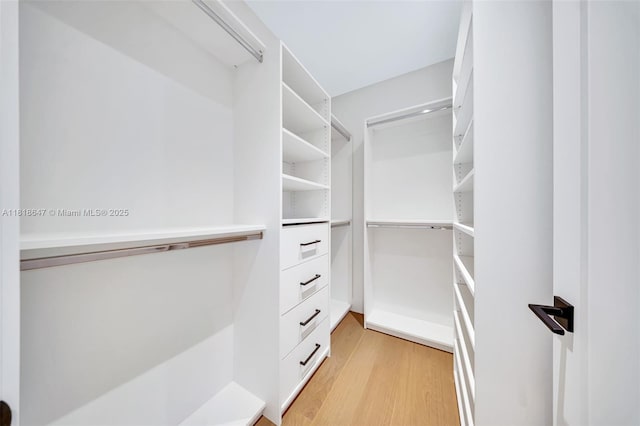 1513 SW 11th Ter, Miami, FL 33135 - walk in closet with light wood-style flooring