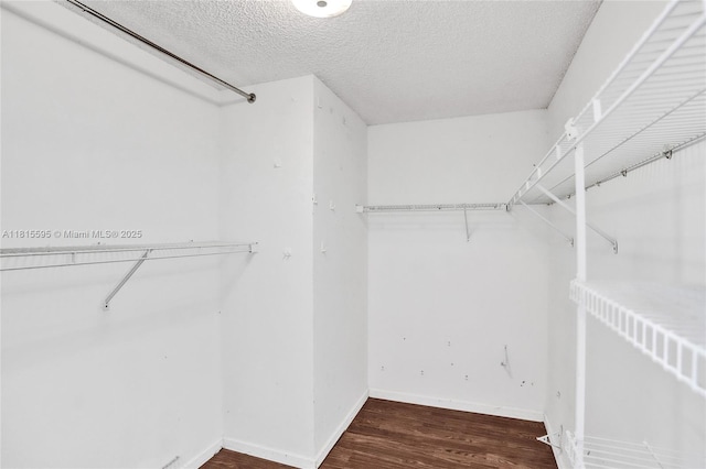 9601 NW 8th Cir, Plantation, FL 33324 - walk in closet with wood finished floors