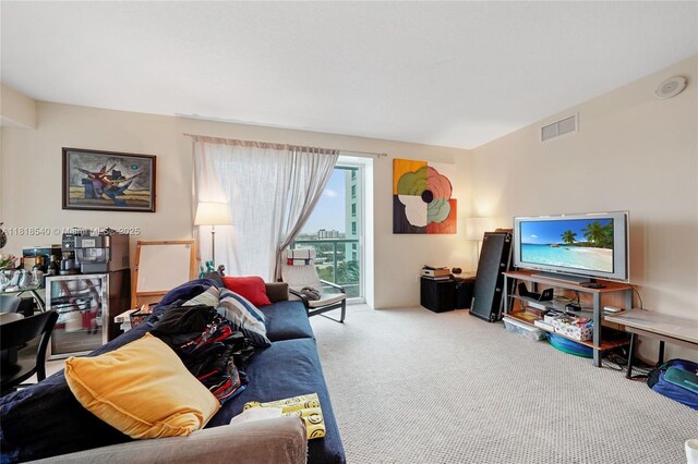 1900 N Bayshore Dr Unit 1411, Miami, FL 33132 - living room with carpet floors