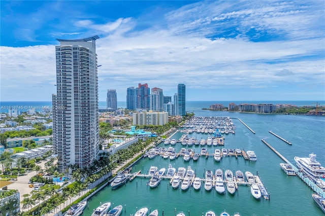 400 Alton Rd Unit 407, Miami Beach, FL 33139 - water view with numerous boat docks and nearby urban area
