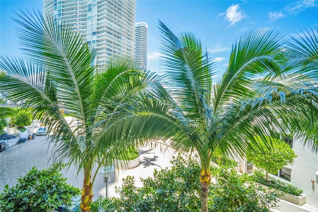 400 Alton Rd Unit 407, Miami Beach, FL 33139 - exterior view