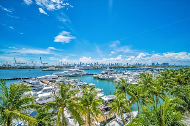 400 Alton Rd Unit 407, Miami Beach, FL 33139 - water view featuring skyline and numerous boat docks