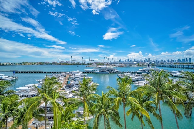400 Alton Rd Unit 407, Miami Beach, FL 33139 - water view with skyline and a marina