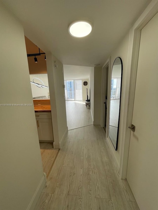 2801 NE 183rd St Unit 1611W, Aventura, FL 33160 - hallway with light wood-type flooring and baseboards