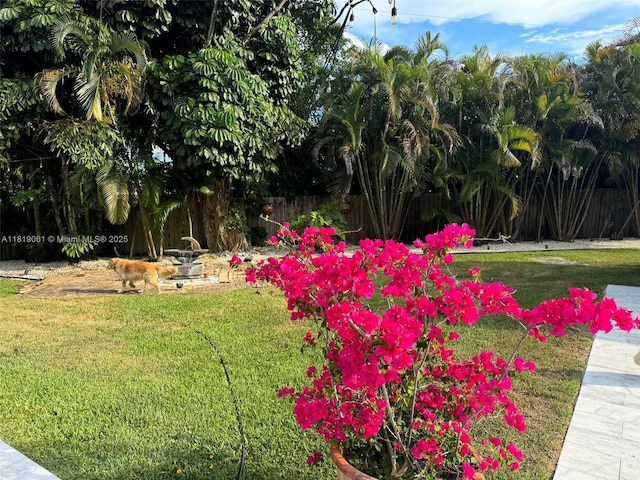 7650 SW 78th Ct, Miami, FL 33143 - view of grassy yard
