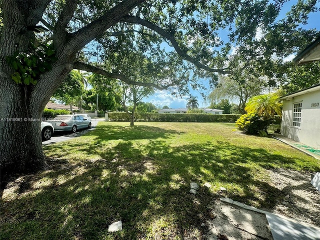 7650 SW 78th Ct, Miami, FL 33143 - view of green lawn