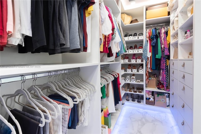 1828 Aspen Ln, Weston, FL 33327 - view of spacious closet