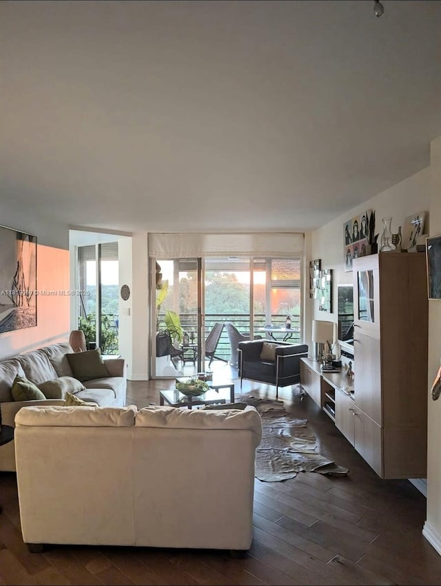 7400 Radice Ct Unit 402, Lauderhill, FL 33319 - living room featuring healthy amount of natural light and dark wood finished floors