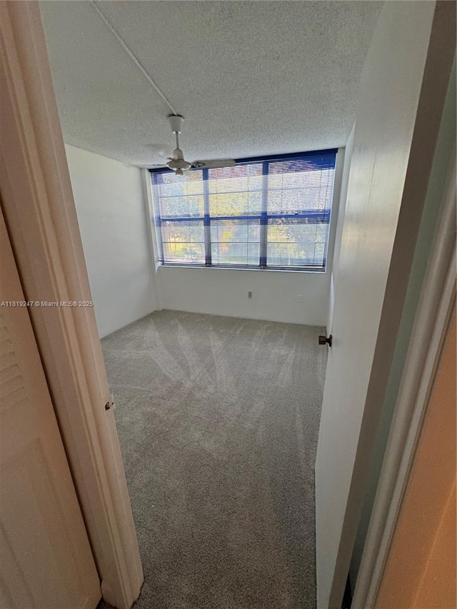 1100 Saint Charles Pl Unit 203, Pembroke Pines, FL 33026 - empty room with a textured ceiling, carpet flooring, and a ceiling fan