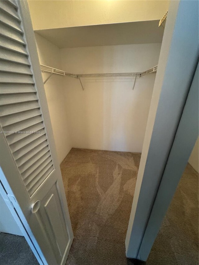 1100 Saint Charles Pl Unit 203, Pembroke Pines, FL 33026 - walk in closet with carpet floors