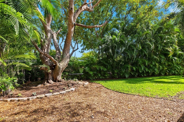 2510 Jardin Dr, Weston, FL 33327 - photo 38
