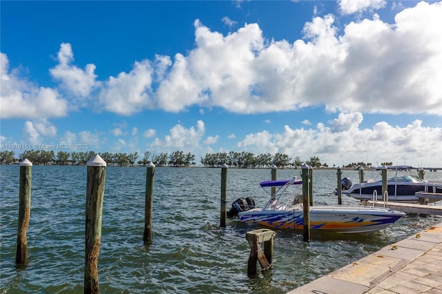 2101 Brickell Ave Unit 2409, Miami, FL 33129 - dock area featuring a water view