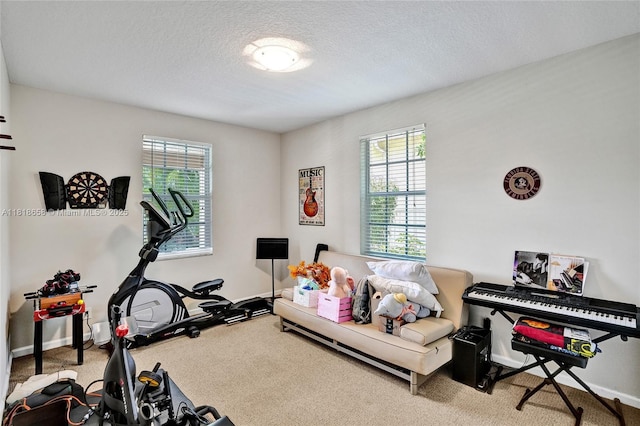 2509 Hunters Run Way, Weston, FL 33327 - workout area featuring healthy amount of natural light, carpet flooring, and a textured ceiling