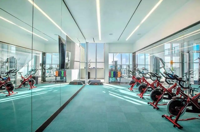 3900 Biscayne Blvd Unit N-1011, Miami, FL 33137 - workout area with healthy amount of natural light