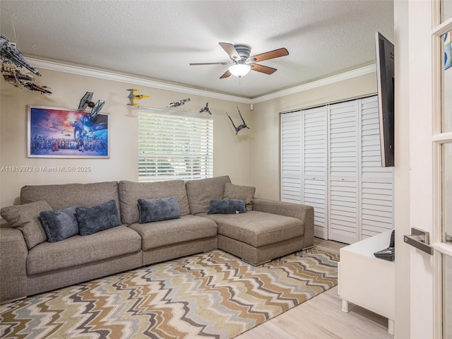 643 Lake Blvd, Weston, FL 33326 - living room with a ceiling fan, ornamental molding, a textured ceiling, and wood finished floors