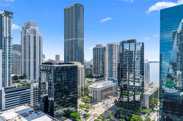 1300 S Miami Ave Unit 2305, Miami, FL 33130 - skyline view