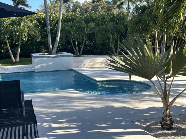 9532 SW 124th Ter, Miami, FL 33176 - outdoor pool with a patio area