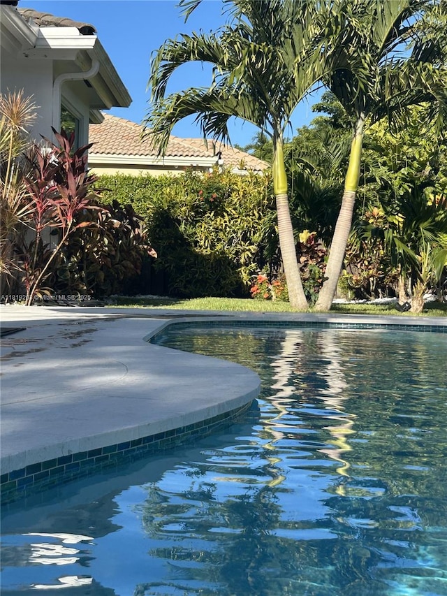 9532 SW 124th Ter, Miami, FL 33176 - view of swimming pool