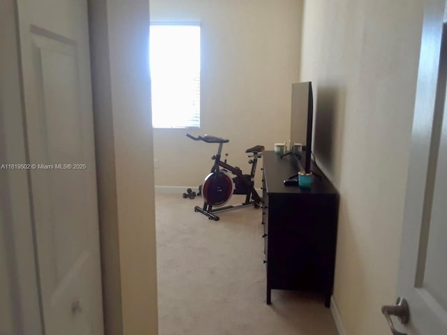 134 SE 28th Ter Unit 21, Homestead, FL 33033 - exercise area featuring light carpet and baseboards