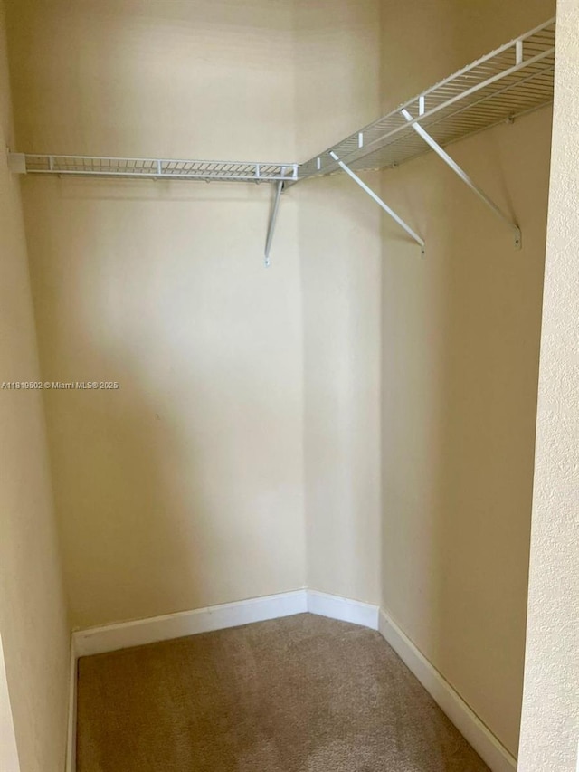 134 SE 28th Ter Unit 21, Homestead, FL 33033 - spacious closet with carpet