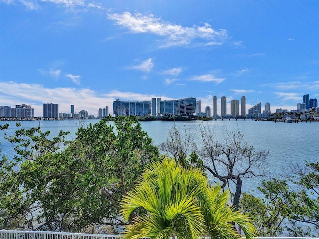 3201 NE 183rd St Unit 1702, Aventura, FL 33160 - water view with skyline