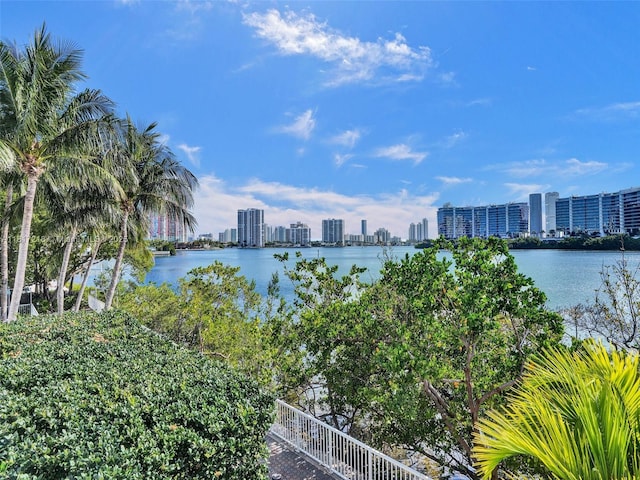 3201 NE 183rd St Unit 1702, Aventura, FL 33160 - water view featuring skyline