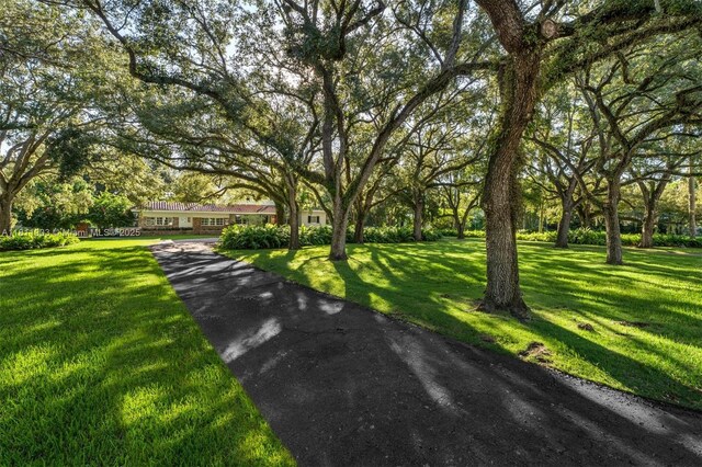 7301 Ponce De Leon Rd, Miami, FL 33143 - photo 8