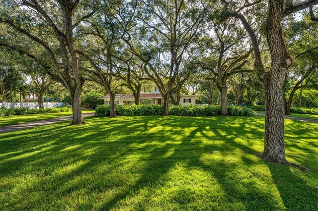 7301 Ponce De Leon Rd, Miami, FL 33143 - photo 9