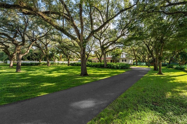 7301 Ponce De Leon Rd, Miami, FL 33143 - photo 10