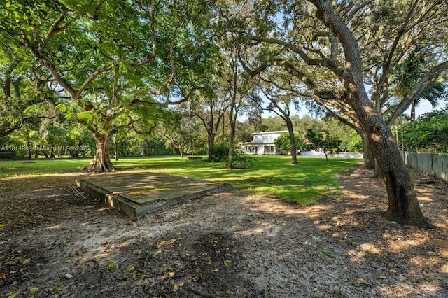 7301 Ponce De Leon Rd, Miami, FL 33143 - photo 11